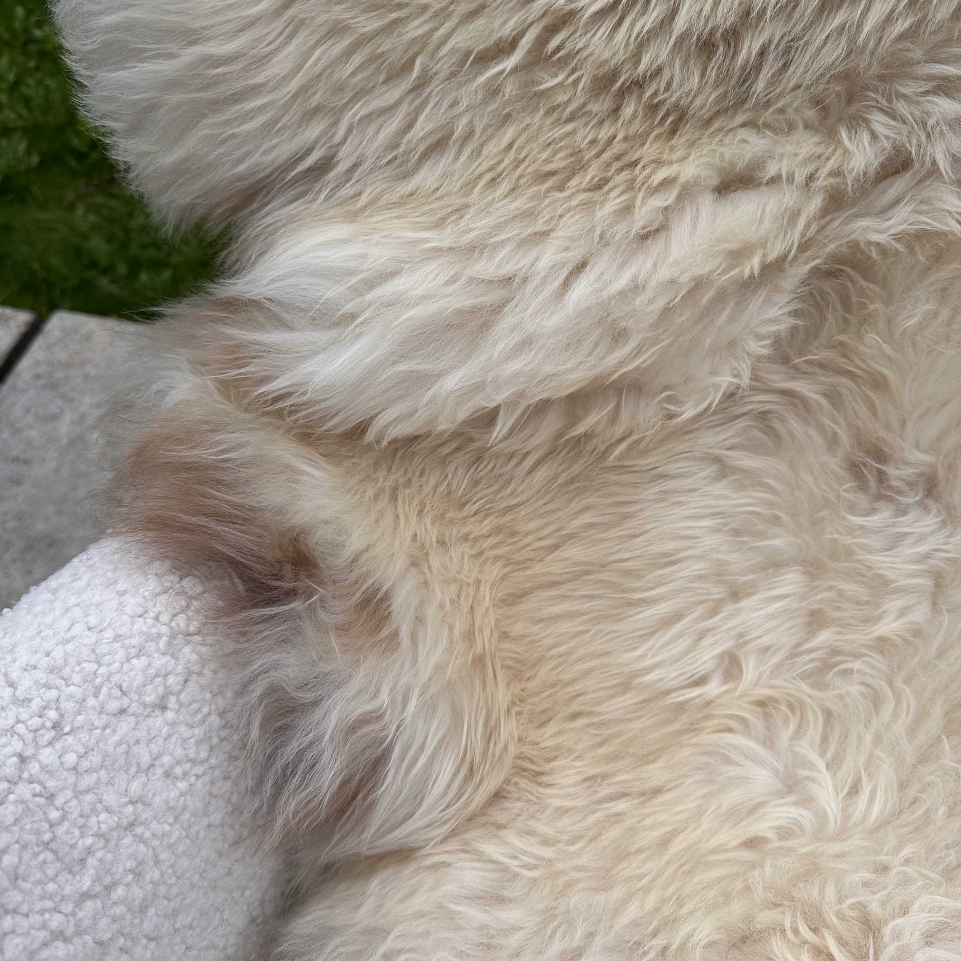 Natural Coloured British Sheepskin – 12