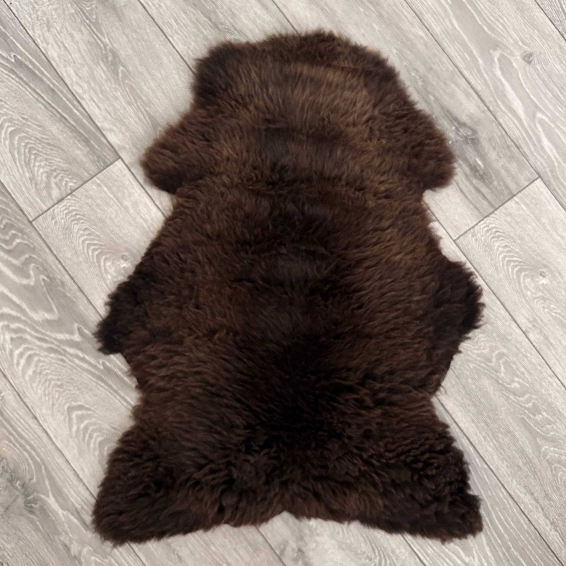Pet Sheepskin 2