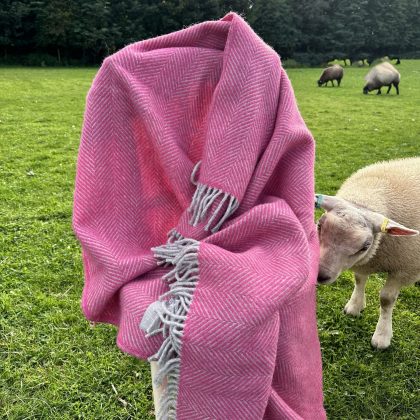 IMG_9632 2