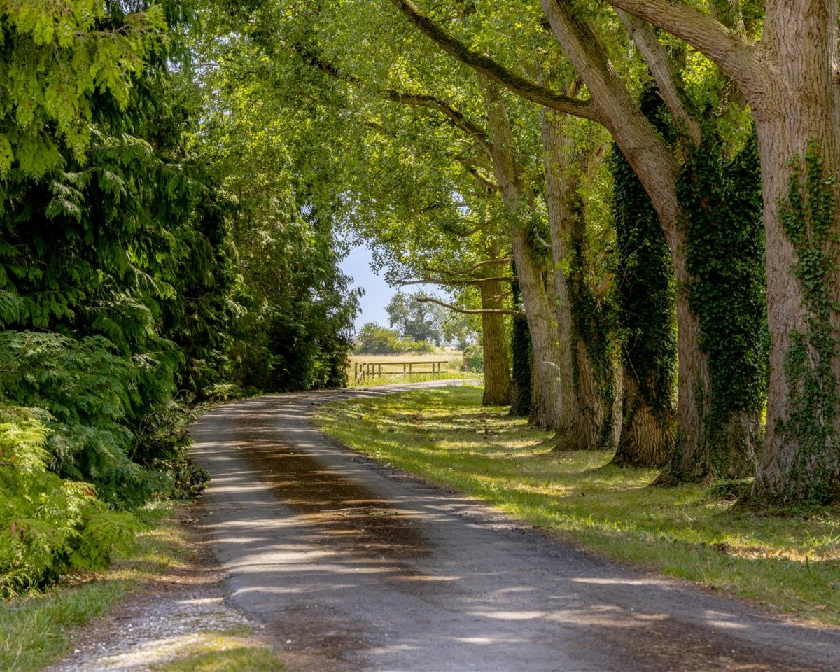 Aby Road, Withern