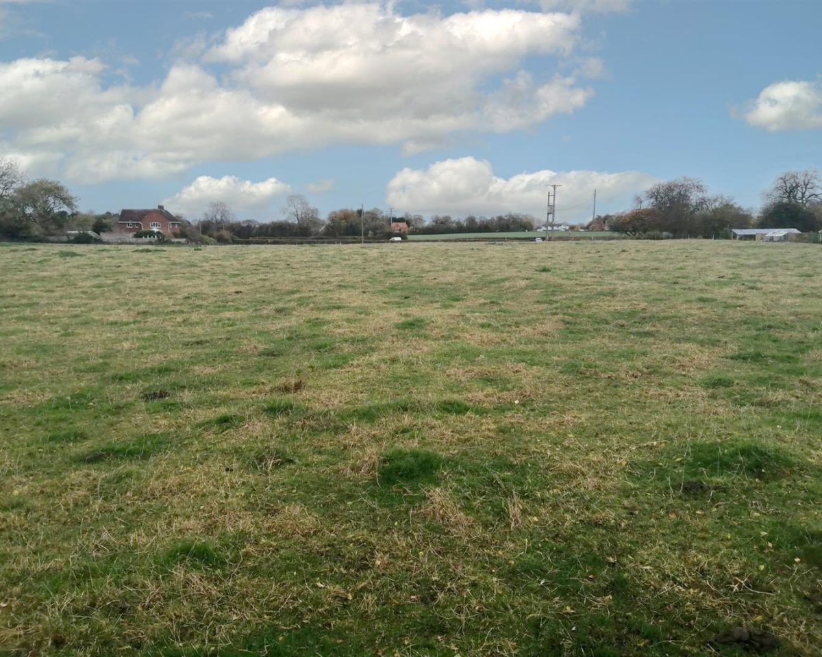 5.00 Acres of Pastureland, Strubby