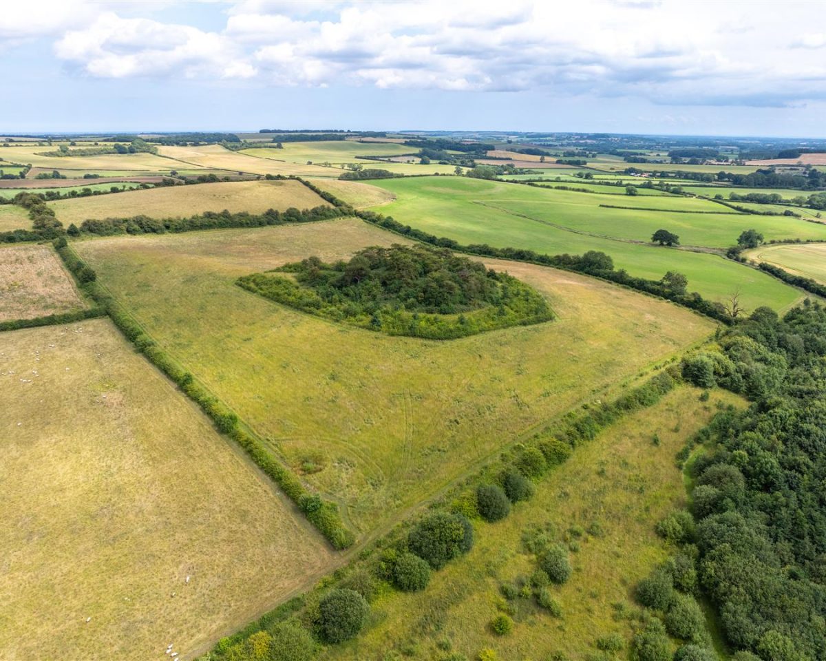 Hemingby Road, Belchford