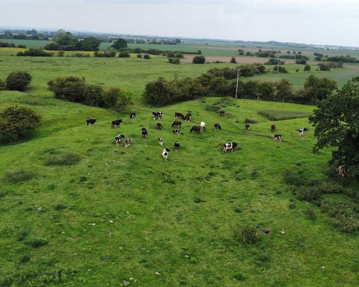 28.15 Acres of Pastureland – Addlethorpe