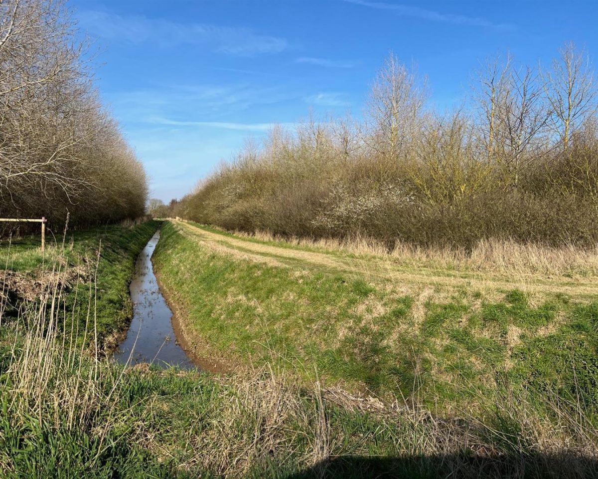 10.45 Acres of Established Woodland, Wainfleet St Mary