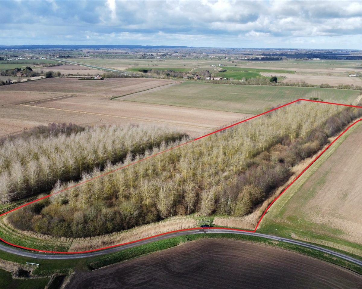 10.45 Acres of Established Woodland, Wainfleet St Mary