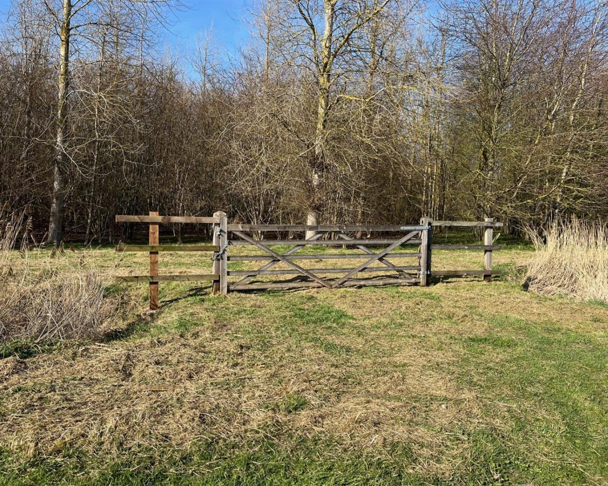 10.45 Acres of Established Woodland, Wainfleet St Mary