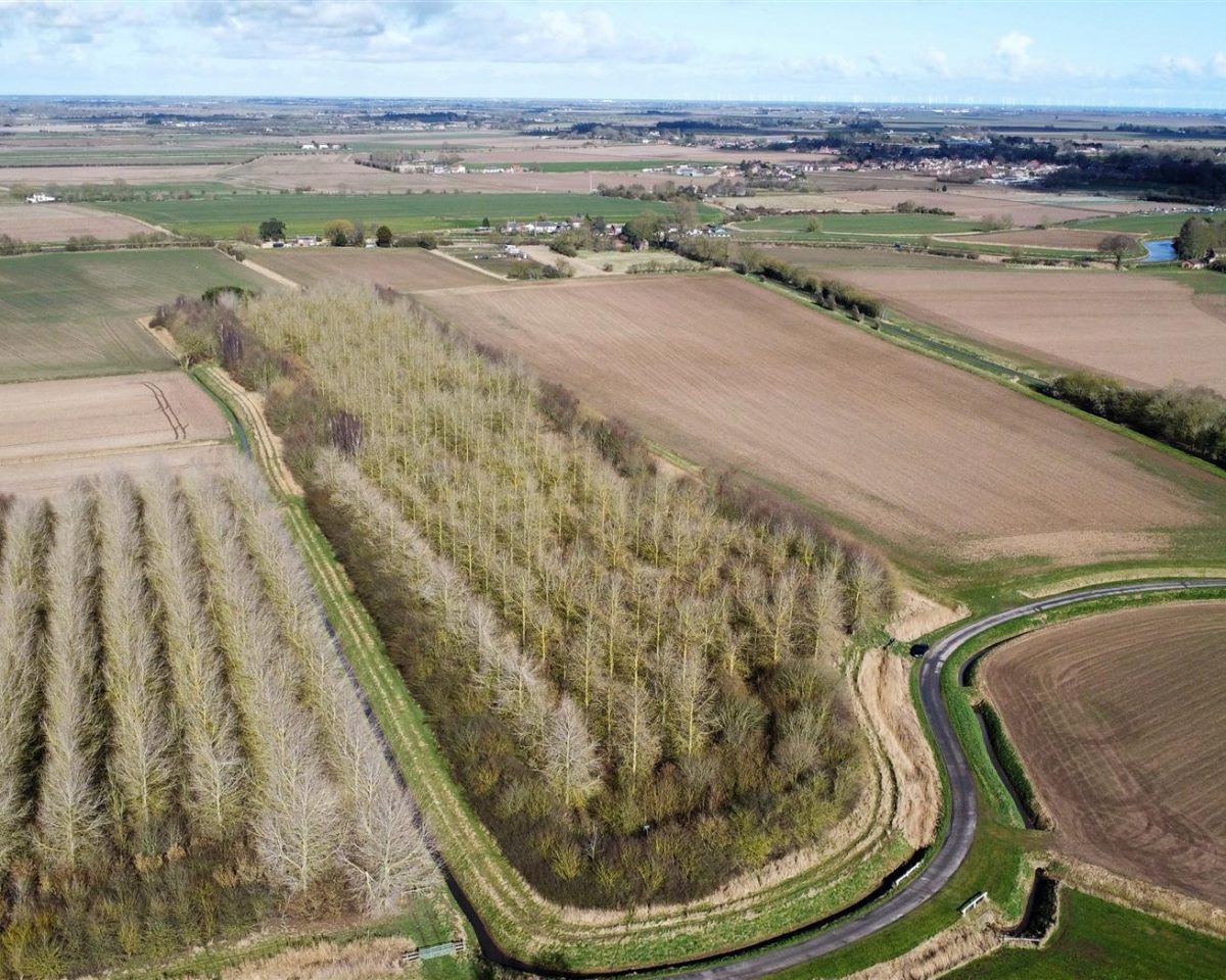 10.45 Acres of Established Woodland, Wainfleet St Mary