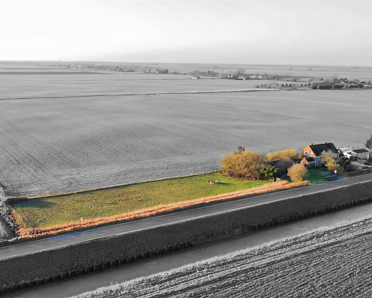 Fodderdyke Bank, New Leake, Boston
