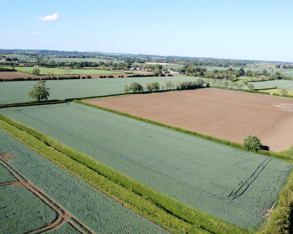 182.01 Acres of Arable Land in 6 Lots – Little Steeping & Halton Fenside