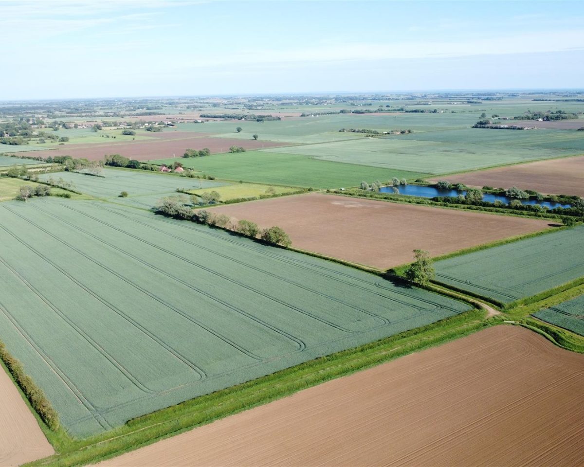 182.01 Acres of Arable Land in 6 Lots – Little Steeping & Halton Fenside