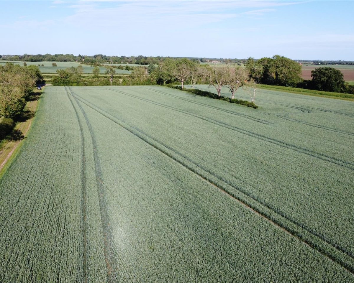182.01 Acres of Arable Land in 6 Lots – Little Steeping & Halton Fenside