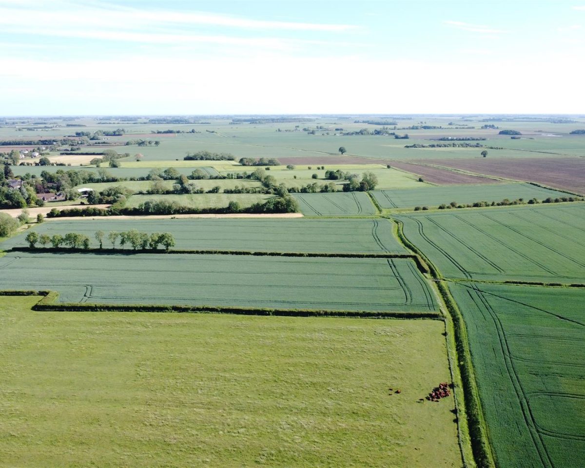 182.01 Acres of Arable Land in 6 Lots – Little Steeping & Halton Fenside
