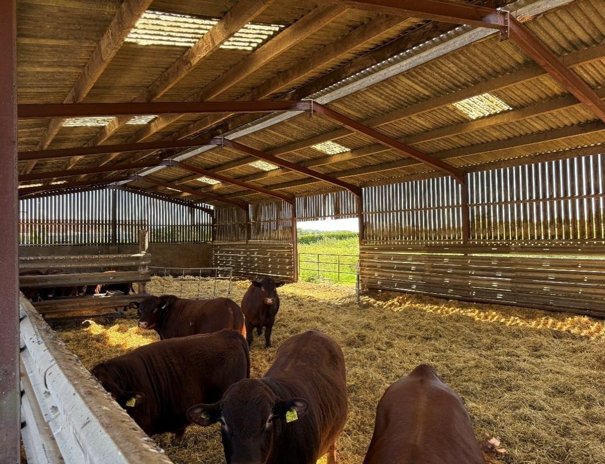 Goulceby, Louth