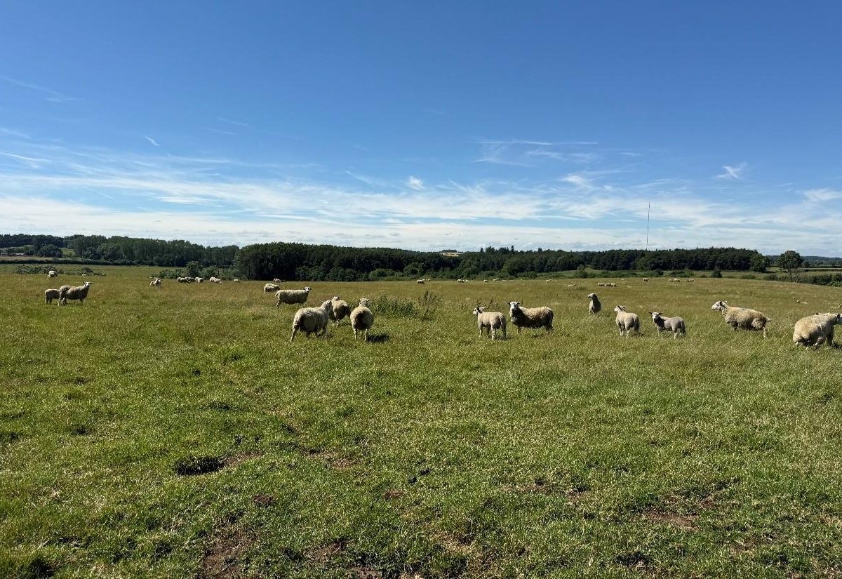 Goulceby, Louth