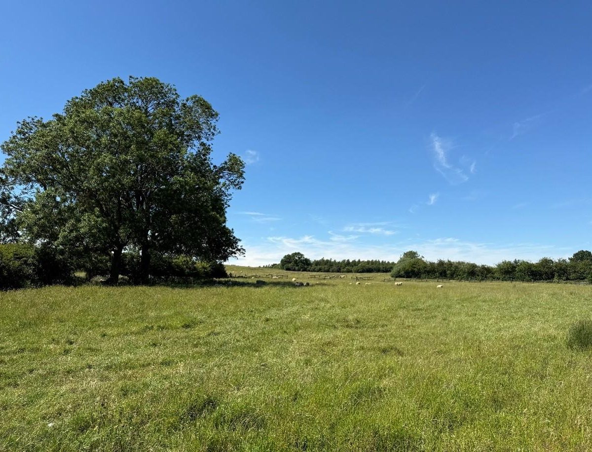 Goulceby, Louth, LN11 9UD