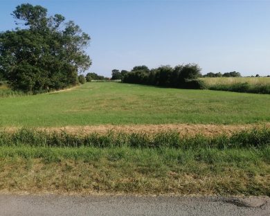 /var/www/willsons-property.co.uk/public/uploads/255656-OtDcxJDJMkW3uUUWbG8KsA.jpg