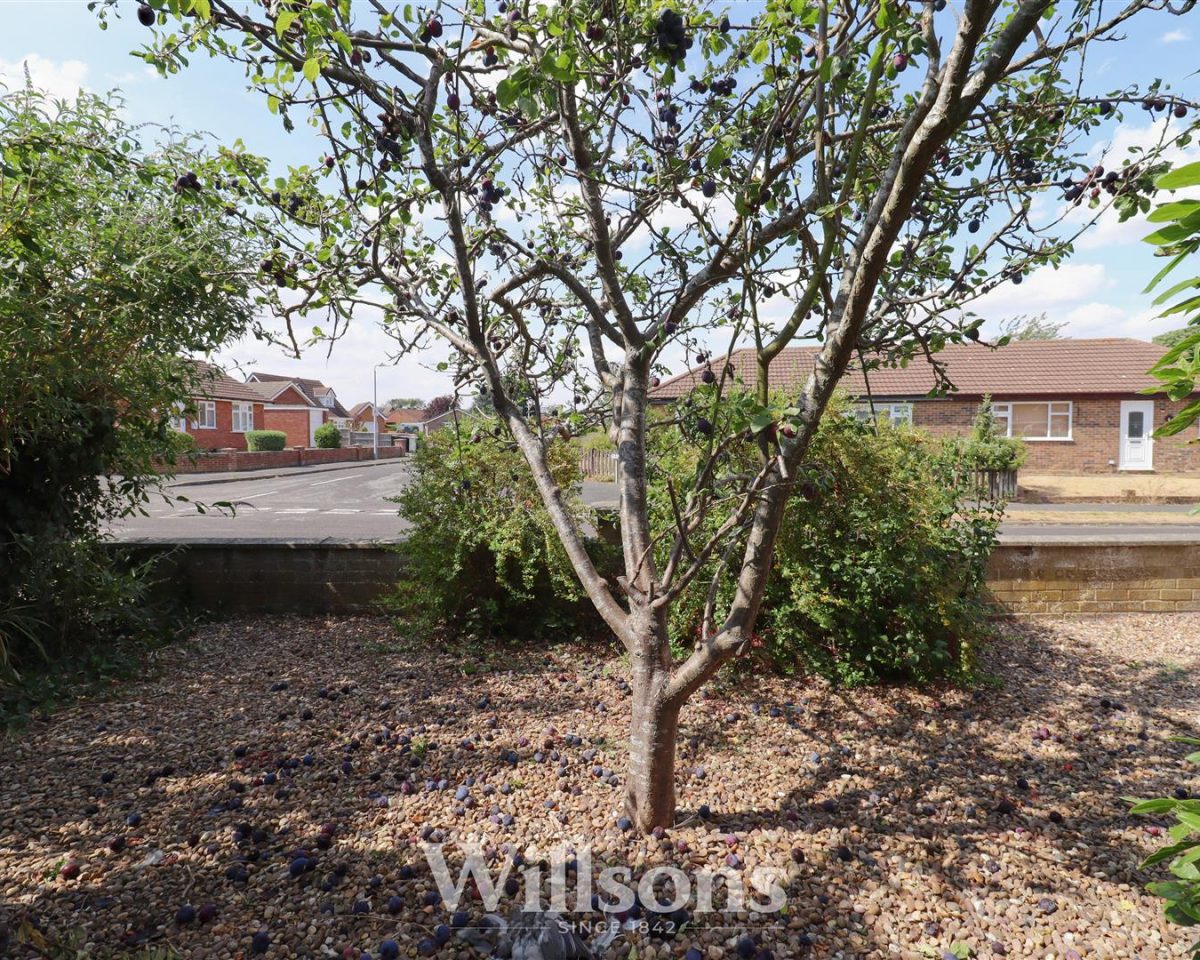 Robinson Avenue, Alford